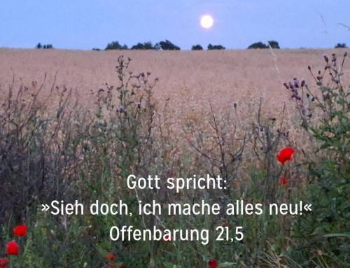 11. Juli bis 3. August 2026; Gemeindeferien